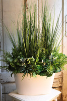 Cruzano New, sukulenty w wąskiej donicy, wym.90x75cm