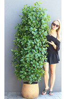 Drzewko Maxi Orange, sztuczna roślina w donicy