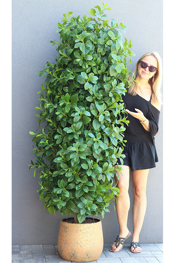 Drzewko Maxi Orange, sztuczna roślina w donicy