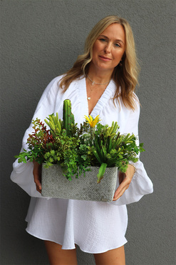 Green Neriata, sukulenty w prostokątnej donicy, wym.35x50cm