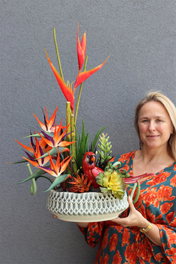 Strelicja Papuga, egzotyczna kompozycja w donicy, wys.75cm