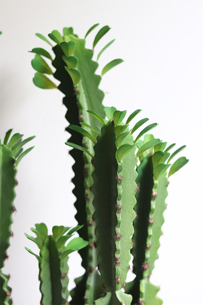 Kaktus Spain, sztuczna roślina