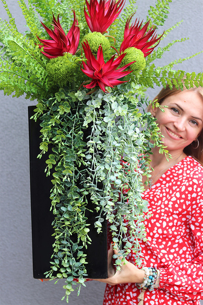Red Flowers Paline, sukulenty w czarnej donicy