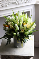 Tulipinia, wiosenna kompozycja kwiatowa