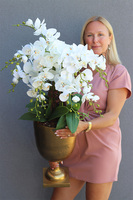 Złoty Puchar, storczyk w pucharze