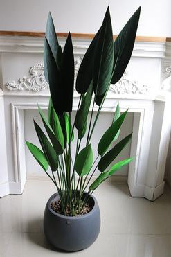 Strelicja Concrete, sztuczna roślina w donicy, wys.128cm
