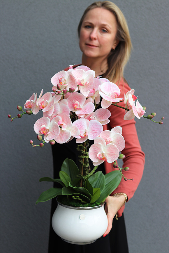 Pudrove Love, różowy gumowy storczyk