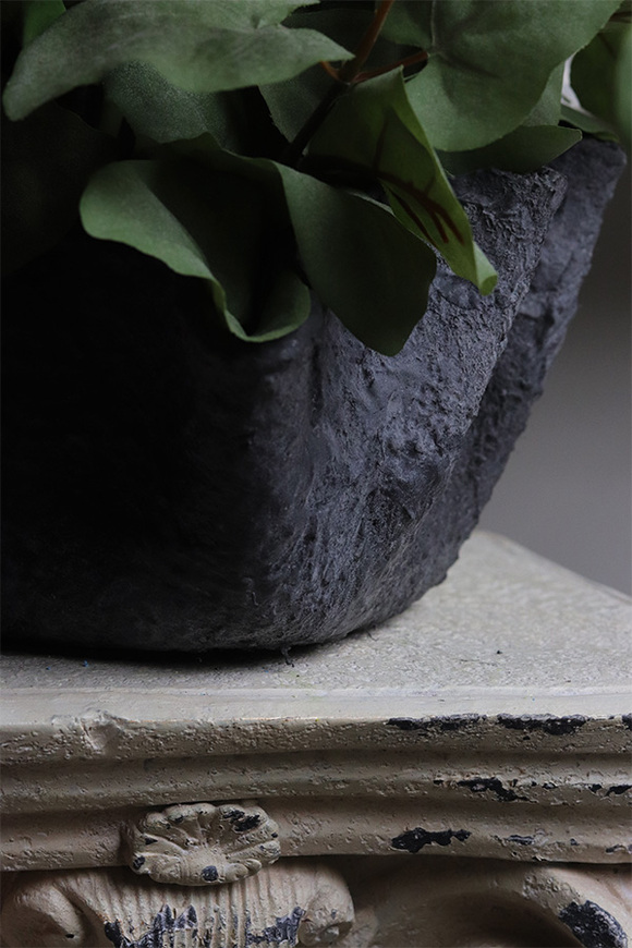 Katarina Spring Volcan