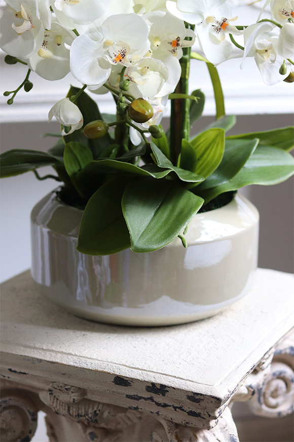 Calatti Gaina 2, wysokiej jakości sztuczny storczyk