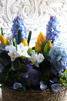 Hiacynty & Bratki Basket, wiosenna dekoracja w koszu