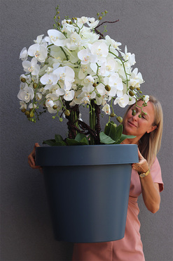 Leona Grey, sztuczny storczyk w szarej donicy, wys.100cm 