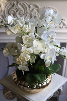 Carrington Gold, elegancki sztuczny storczyk, wys.52cm