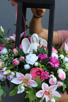 Angelo Garden Dark pink Wood, kompozycja nagrobna z lampionem