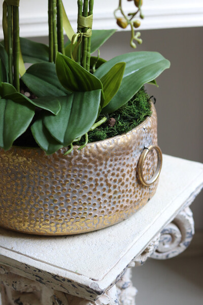 efektowny storczyk w metalowej misie, Ferrata Gold 2