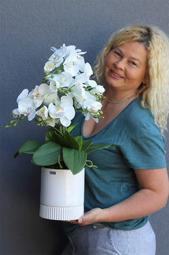 Beira White, elegancki storczyk w białej donicy, wys.53cm