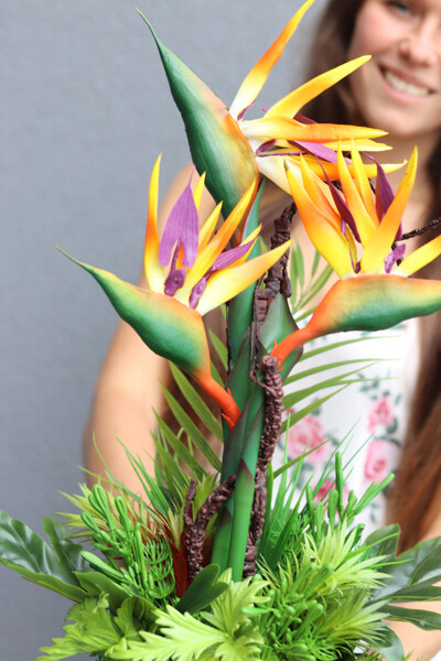 Strelicja Salise Gold, kompozycja w szklanej osłonce