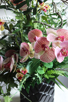 Lucille Gerano Granada Black, kompozycja ze storczykiem w wazonie