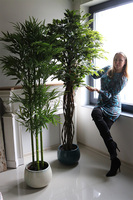 Bambus, sztuczna roślina w osłonce z tworzywa