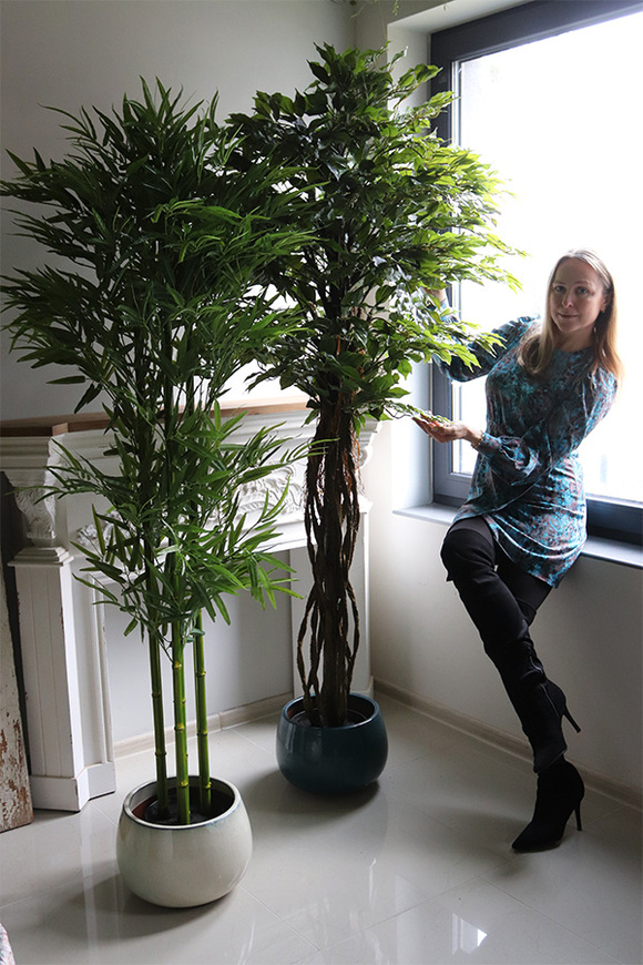 Bambus, sztuczna roślina w osłonce z tworzywa