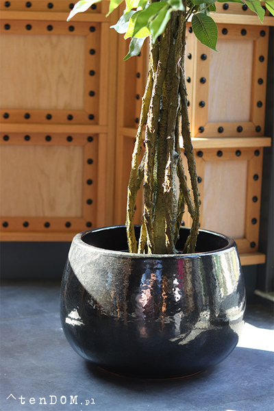 Fikus Benjamin E Ares, sztuczna roślina w donicy