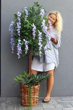 Wisteria Usagi Basket D, sztuczna roślina w koszu, wys.166cm