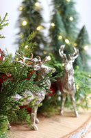 Leśna Czerwień Miracolo, stroik bożonarodzeniowy