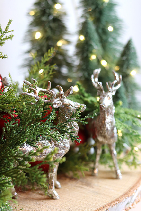 Leśna Czerwień Miracolo, stroik bożonarodzeniowy