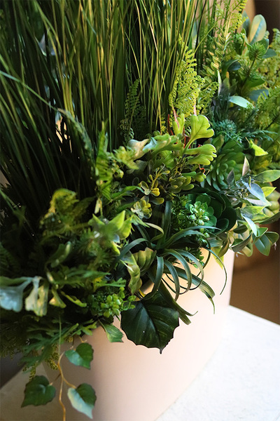 Cruzano New, sukulenty w wąskiej donicy, wym.90x75cm