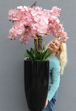 Fiberglass Black Pudrovy, sztuczny storczyk w wysokiej czarnej donicy, wys.130cm 