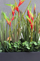 Chińska, dekoracja ze strelicjami w czarnej donicy