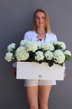 Hortensje Biel, sztuczne kwiaty na balkon i parapet, wym.45cm