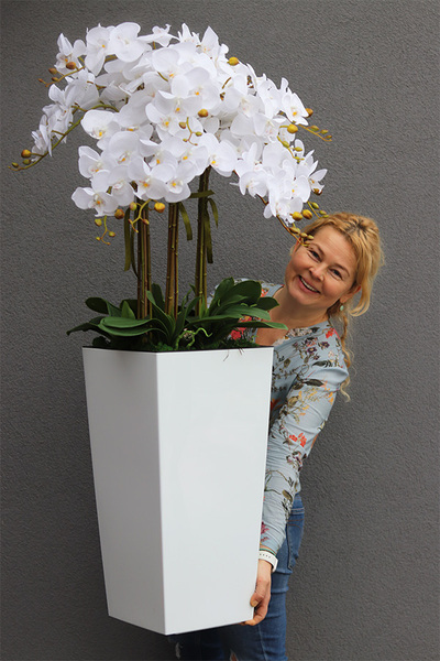 bogaty storczyk podłogowy w białej donicy, Mediolan White, wys.120cm