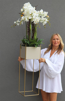 Duo Italiano, sztuczny storczyk na stojaku