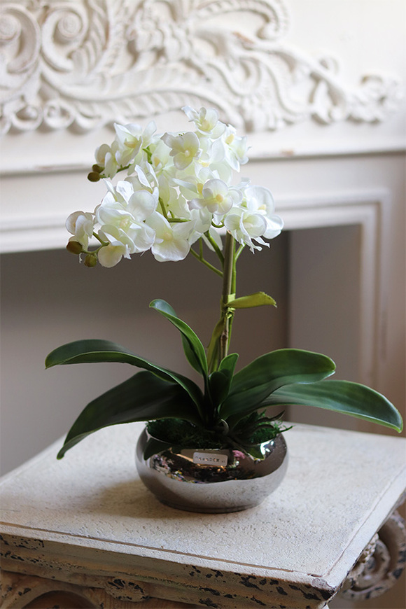 Mini Piano, sztuczny storczyk w lustrzanej donicy