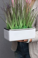 kompozycja z trawami w białej donicy, Pianisto, wys.45cm