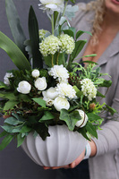 Amarylis Goldia, kompozycja kwiatowa w białej donicy, wys.65cm 