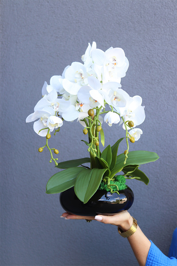 Milia Black, sztuczny storczyk w czarnej misie