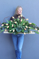 Hollandia Morelia, girlanda nagrobna na desce