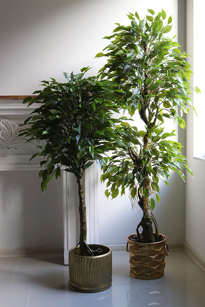 Klon Japoński Domingo, sztuczna roślina w złotej donicy