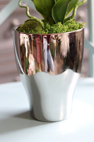 Fellice, gumowy storczyk w lustrzanej donicy