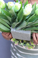  Green Love Saute, serce nagrobne do dinicy