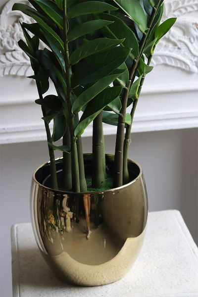 Zamiokulkas Gold, sztuczna roślina w doniczce