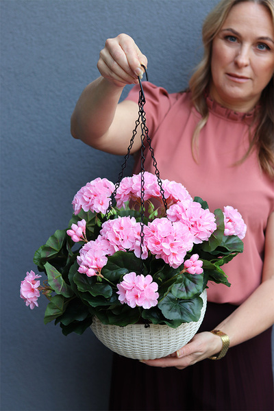 Pelargonia Pink, kompozycja pelargonie w wiszącej donicy	