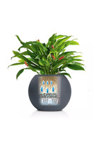 Puro, elegancka donica z nawadnianiem