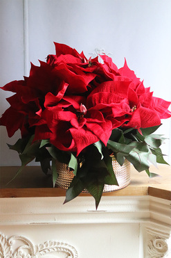 Gwiazda Betlejemska Gold Glass, wysokiej jakości sztuczna roślina, wym.40x50cm