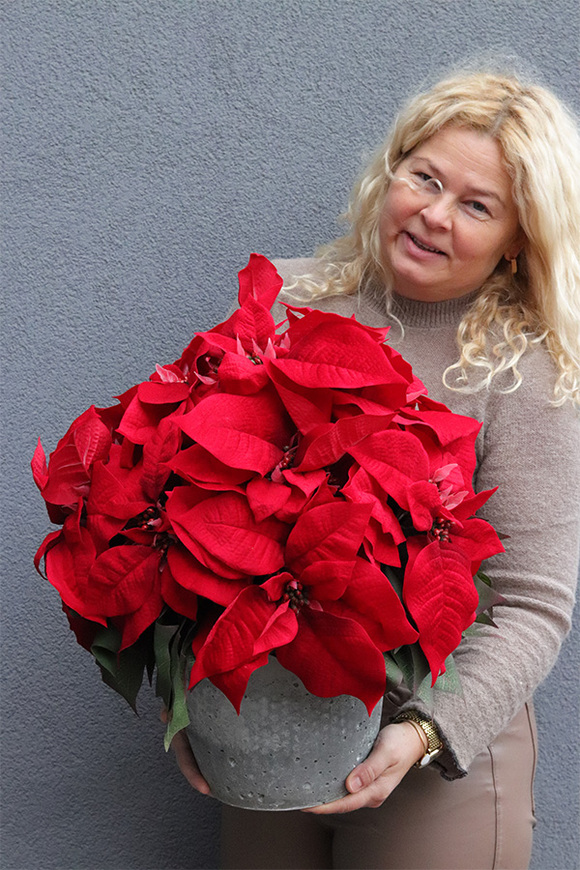 Gwiazda Betlejemska Modern Concrete Small, wysokiej jakości sztuczna roślina