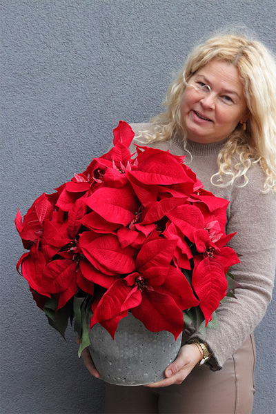 Gwiazda Betlejemska Modern Concrete Small, wysokiej jakości sztuczna roślina