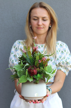 Sukulentana, kompozycja sukulentów w donicy, wys.33cm 