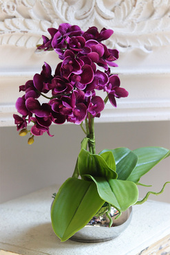 Mini Piano Silver Purple, sztuczny storczyk w lustrzanej donicy, wys.34cm