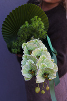 bukiet do wazonu ze storczykiem, Storczykovo, dł.60cm